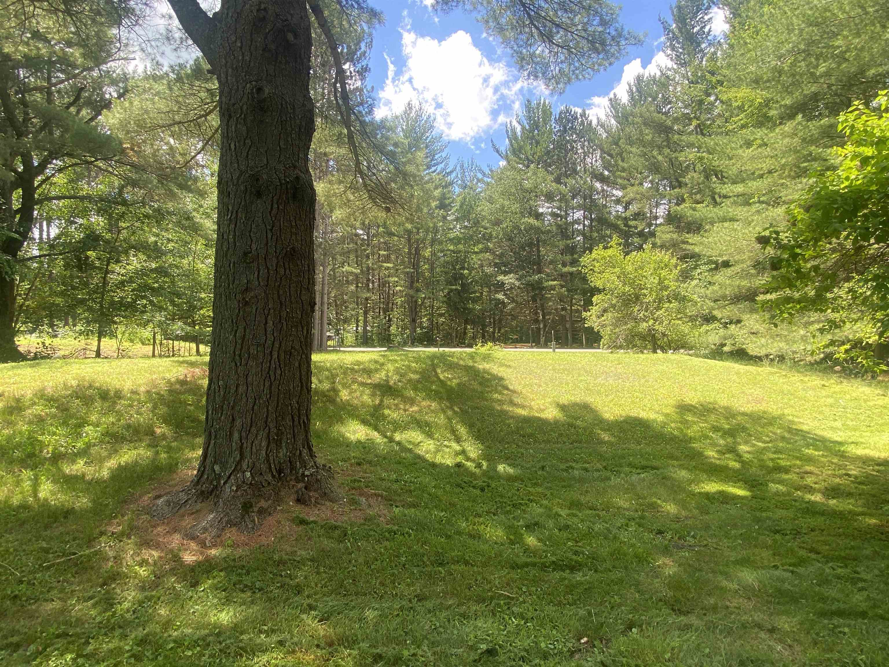 11664 North Lake Nokomis Road Tomahawk, WI 54487 - Photo 10 of 14