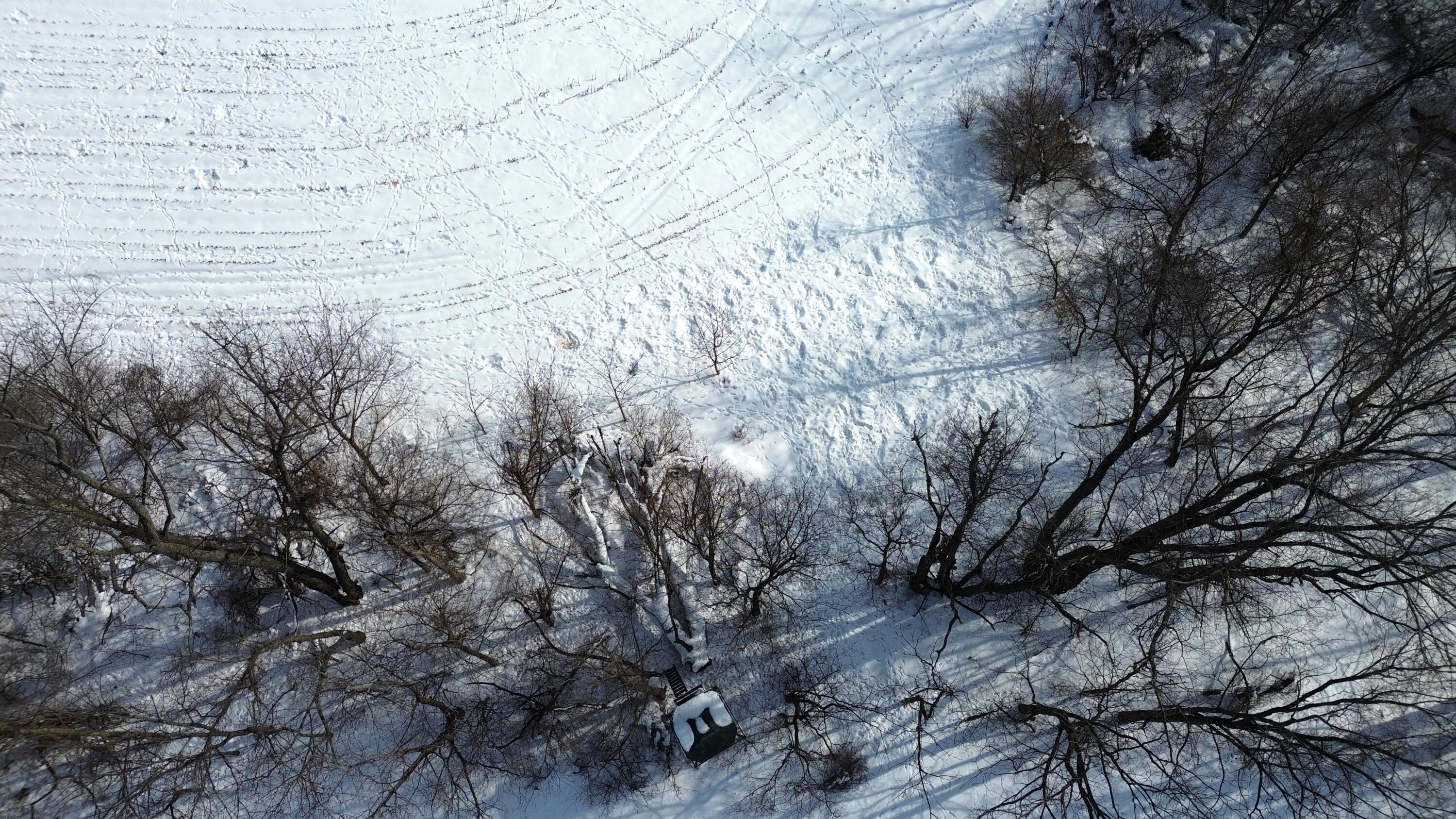 Vl Bond Road Decatur, MI 49045 - Photo 11 of 32 Food Plot