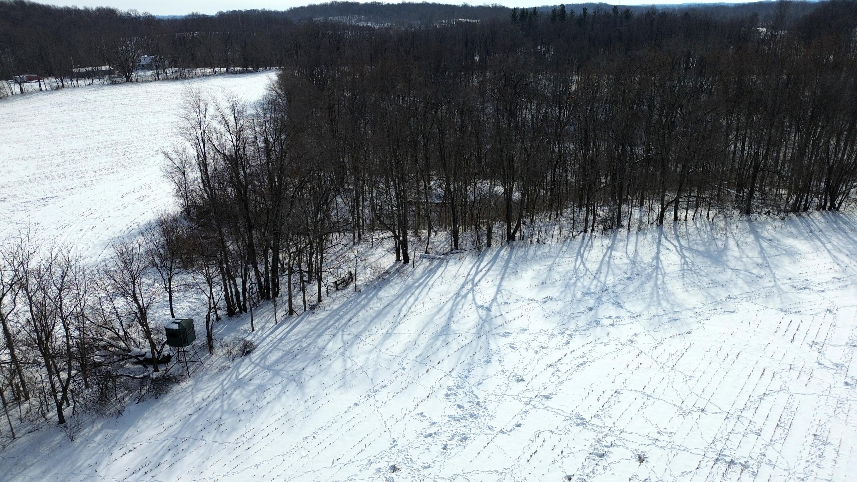 Vl Bond Road Decatur, MI 49045 - Photo 13 of 32 Whitetail HWY