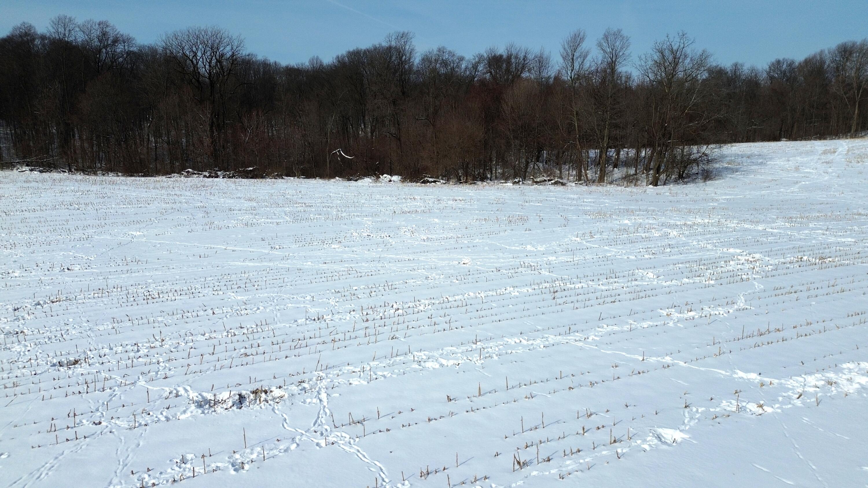 Vl Bond Road Decatur, MI 49045 - Photo 15 of 32 DJI_0015