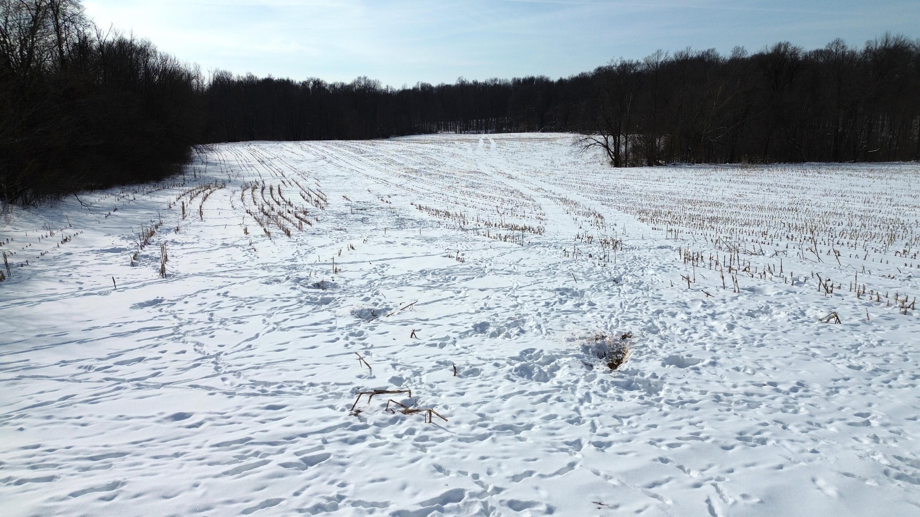 Vl Bond Road Decatur, MI 49045 - Photo 16 of 32 DJI_0016