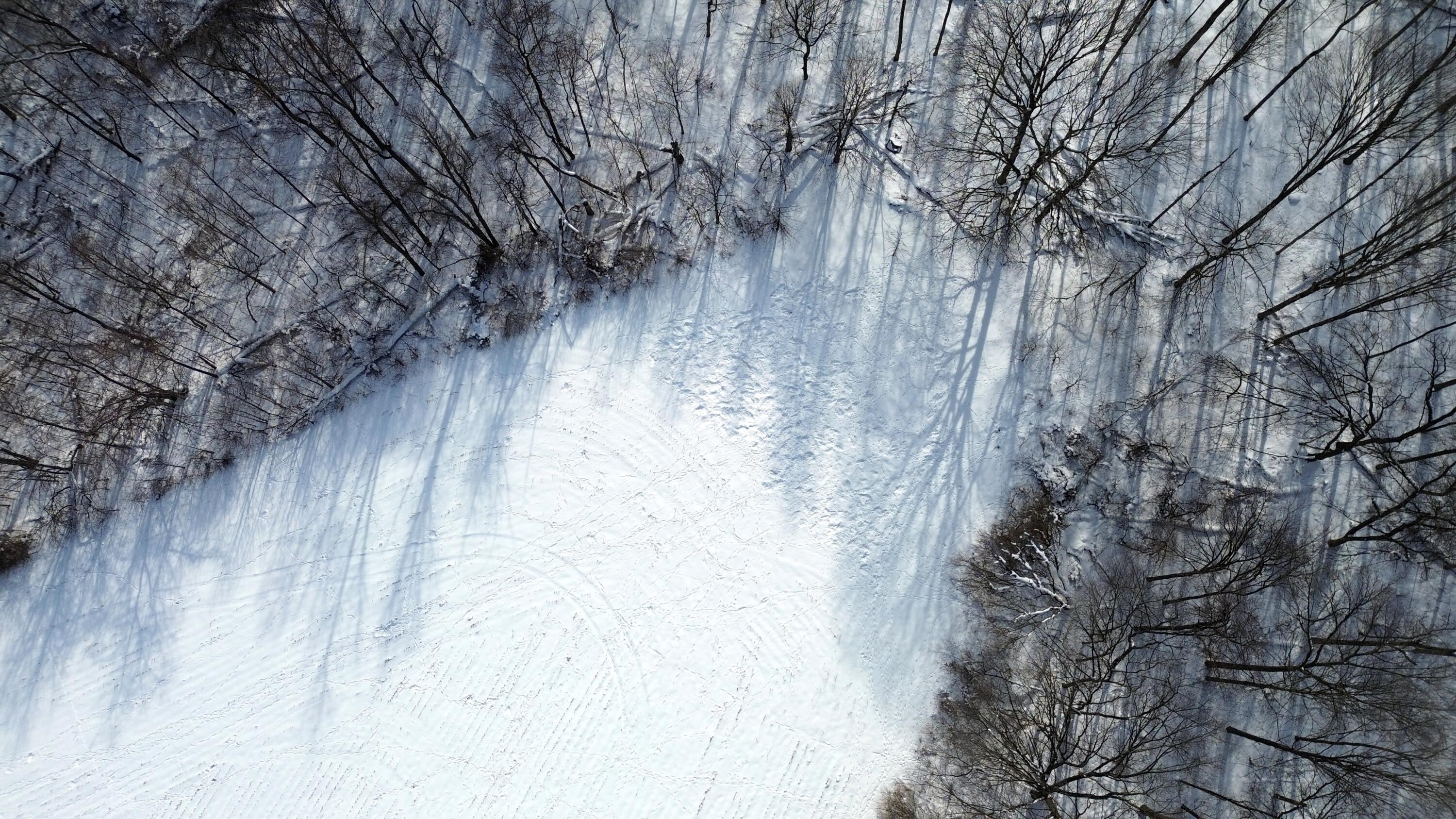 Vl Bond Road Decatur, MI 49045 - Photo 17 of 32 Food Plot