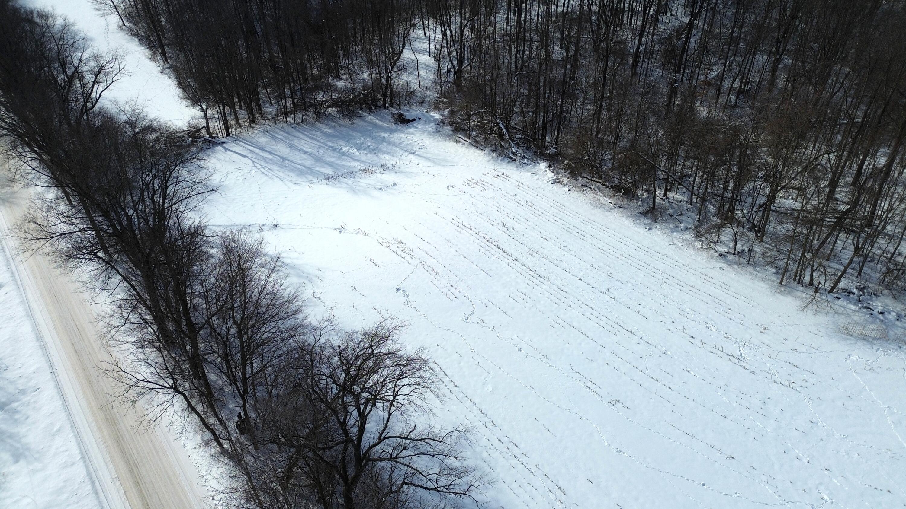 Vl Bond Road Decatur, MI 49045 - Photo 19 of 32 DJI_0019
