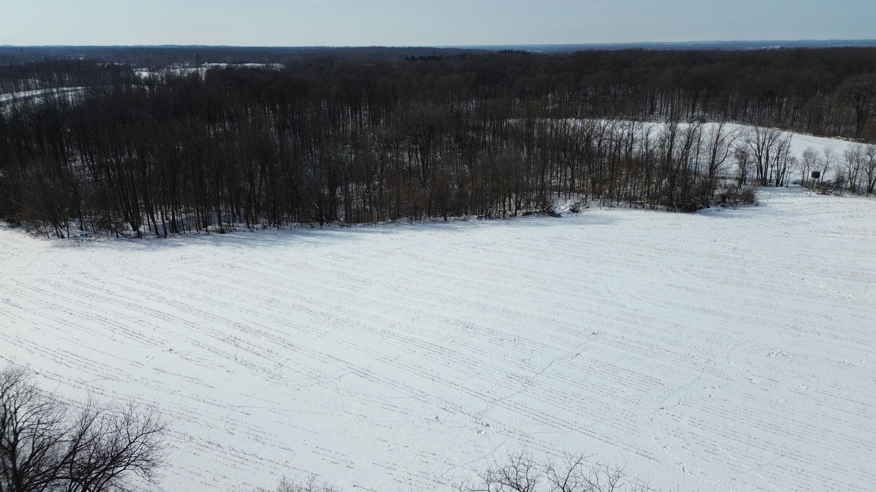 Vl Bond Road Decatur, MI 49045 - Photo 20 of 32 DJI_0020