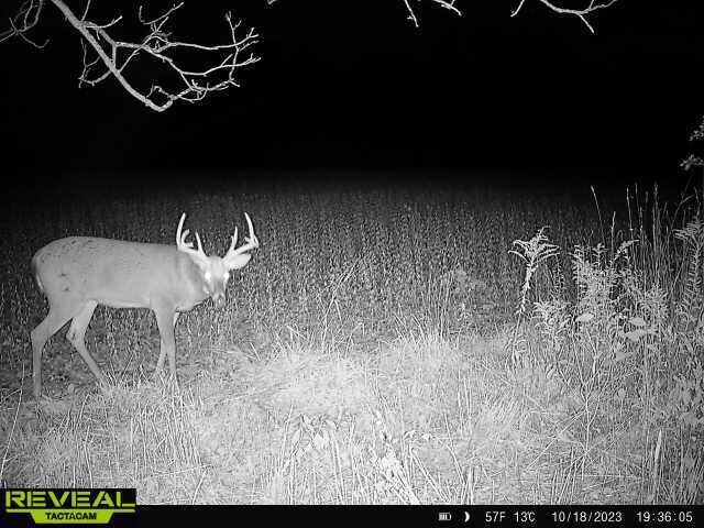 Vl Bond Road Decatur, MI 49045 - Photo 21 of 32 4ee37568-91d7-4187-b67f-15bae6cf187b