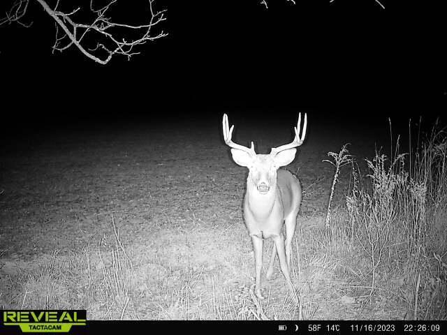 Vl Bond Road Decatur, MI 49045 - Photo 22 of 32 0cc1fb76-8b31-4824-a808-a4e2375f156a