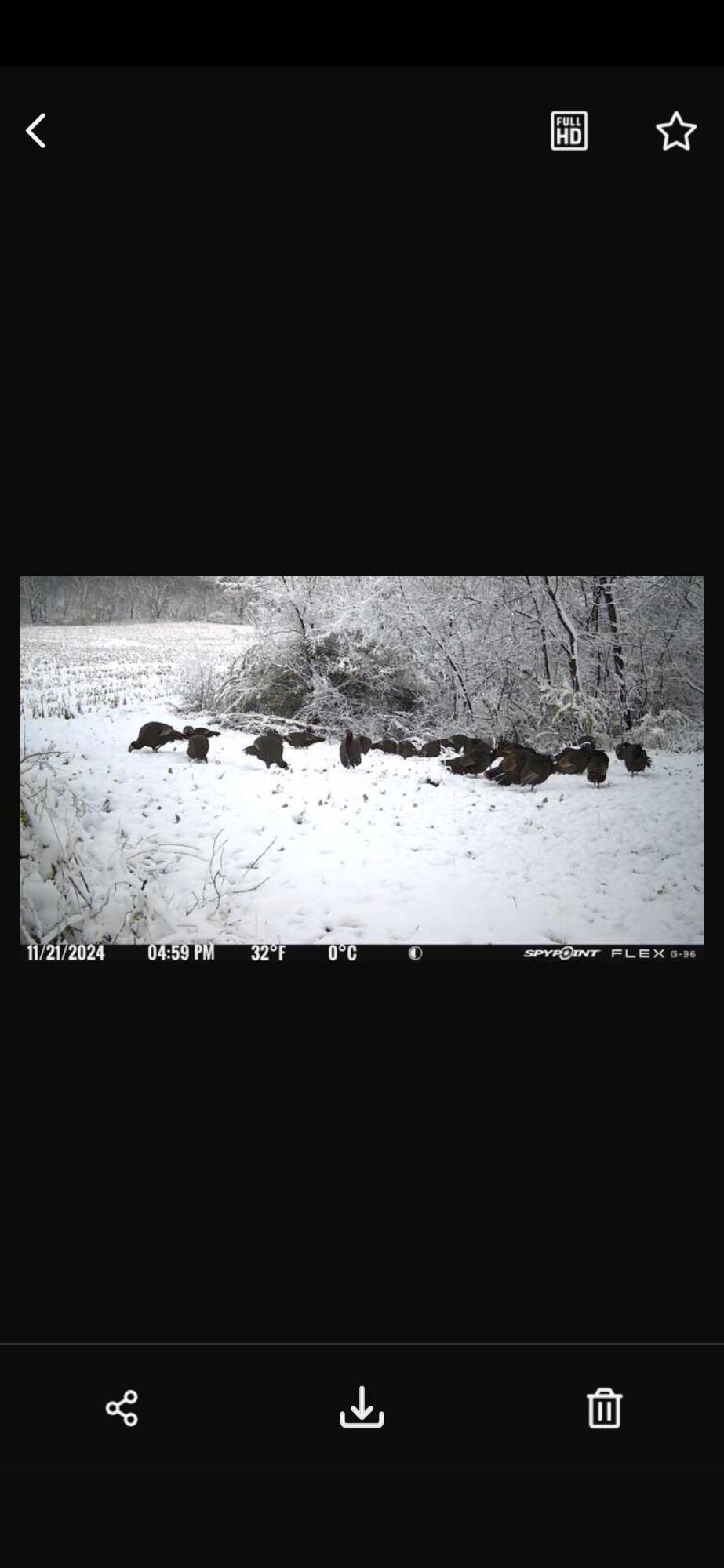 Vl Bond Road Decatur, MI 49045 - Photo 25 of 32 Screenshot_20241121_202135_SPYPOINT