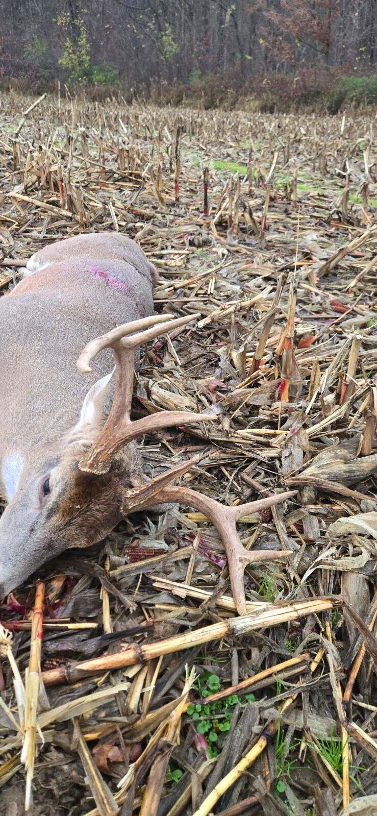 Vl Bond Road Decatur, MI 49045 - Photo 26 of 32 image000001