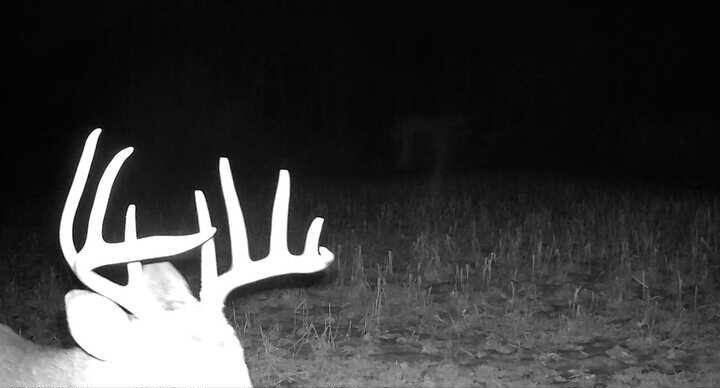 Vl Bond Road Decatur, MI 49045 - Photo 27 of 32 Spypoint_20251114_063734