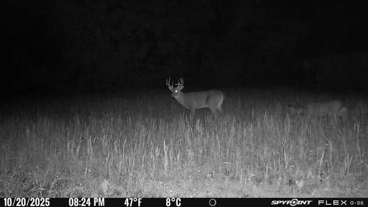 Vl Bond Road Decatur, MI 49045 - Photo 28 of 32 Spypoint_20251021_081010