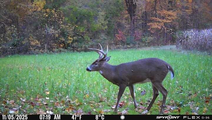 Vl Bond Road Decatur, MI 49045 - Photo 29 of 32 Spypoint_20251105_080439