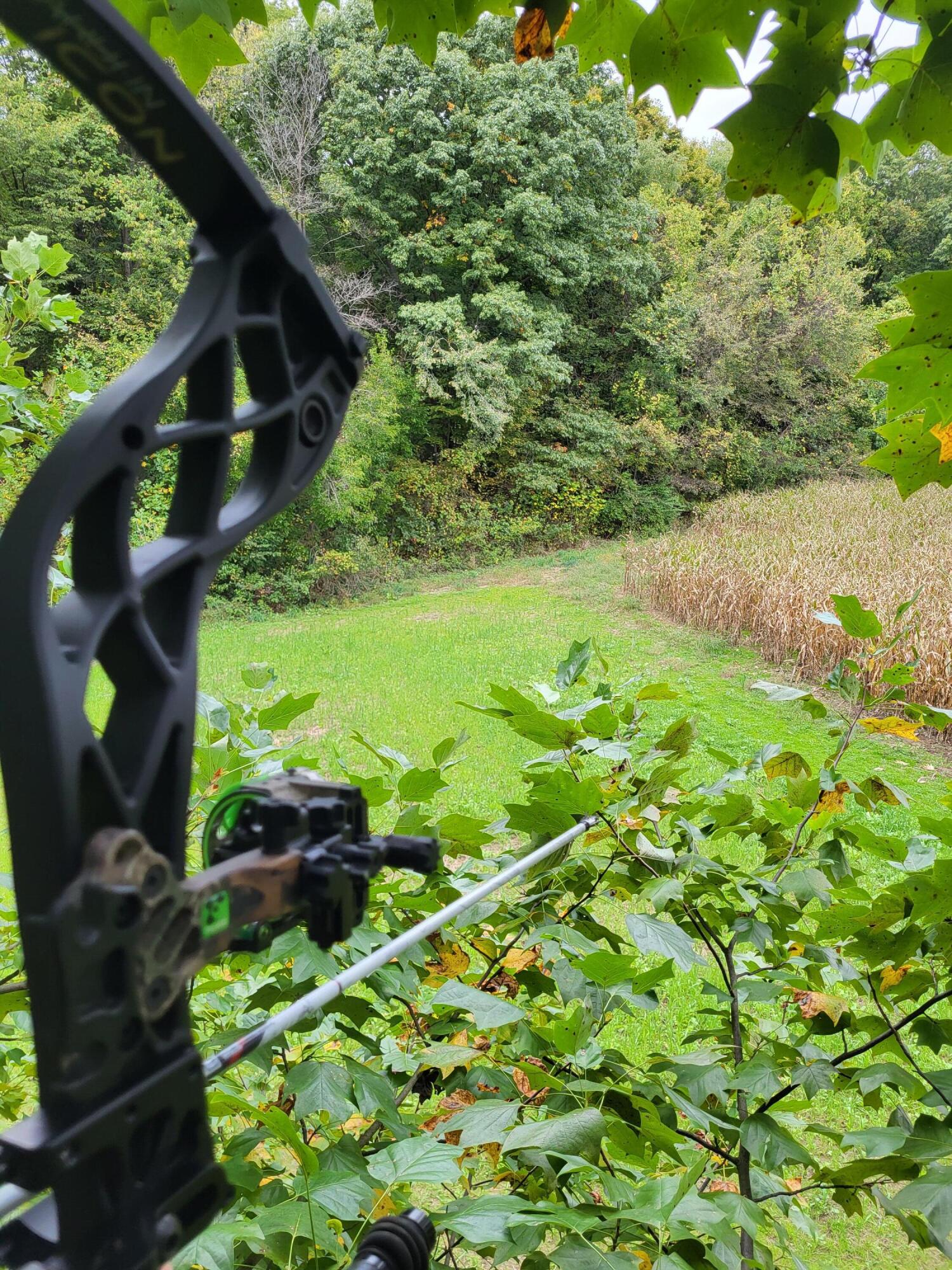 Vl Bond Road Decatur, MI 49045 - Photo 30 of 32 Food Plot