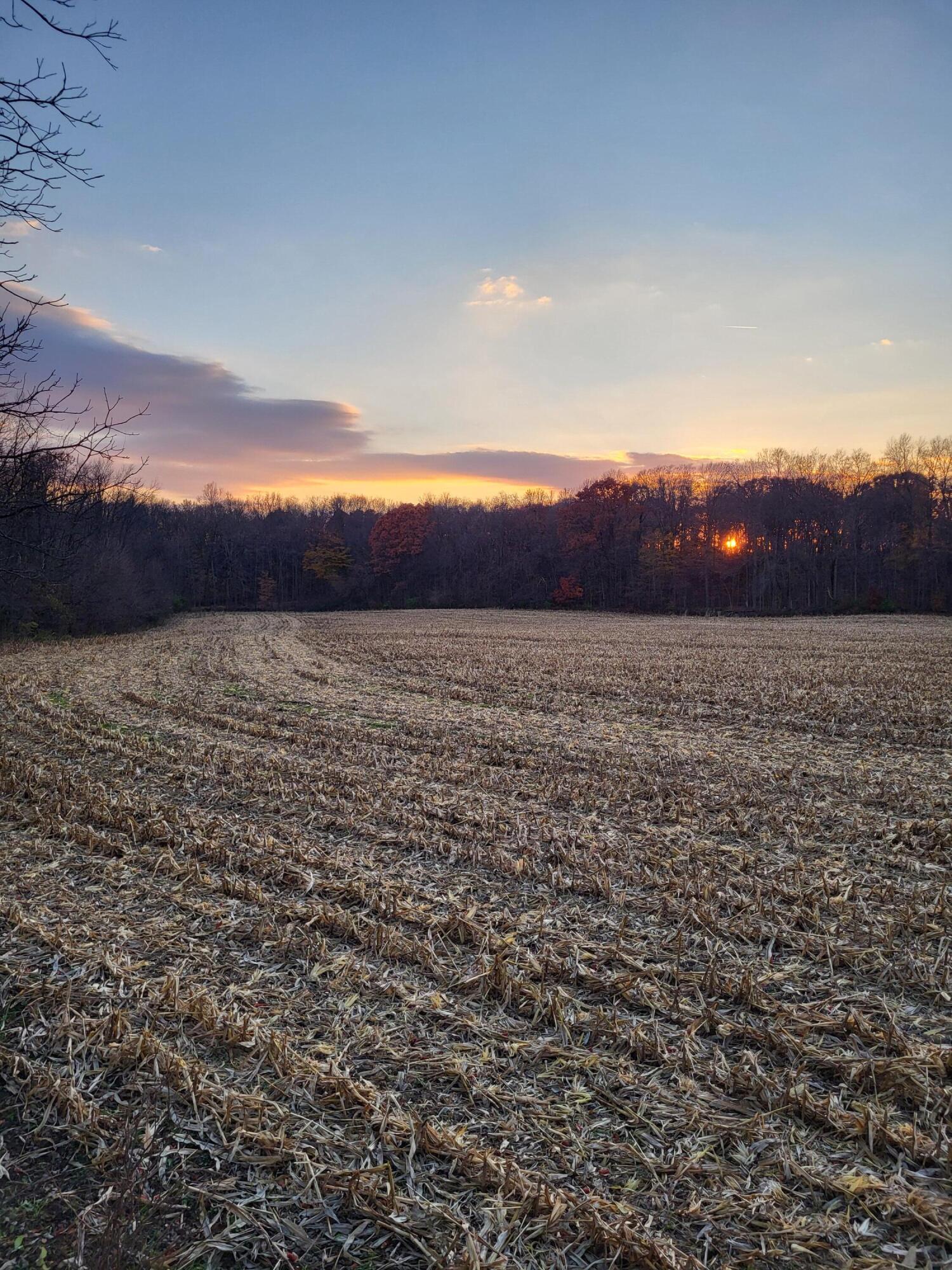 Vl Bond Road Decatur, MI 49045 - Photo 31 of 32 Sunset