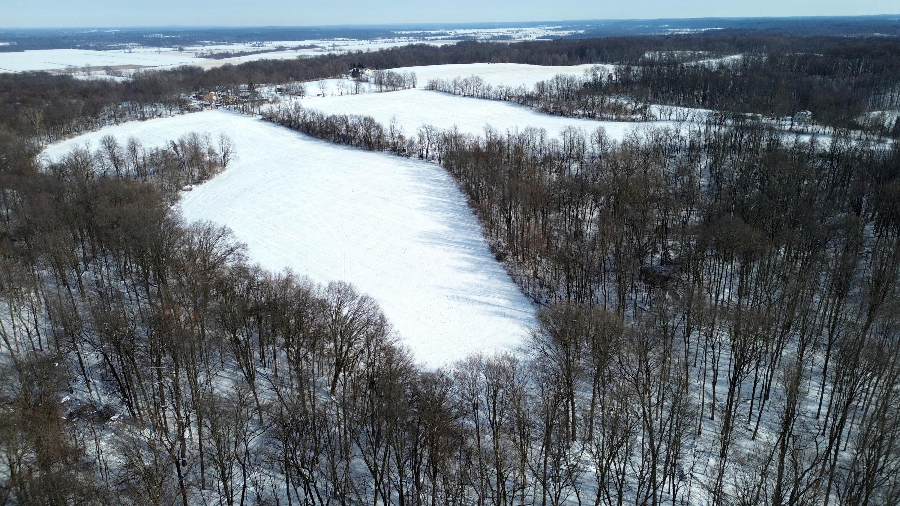 Vl Bond Road Decatur, MI 49045 - Photo 7 of 32 DJI_0007