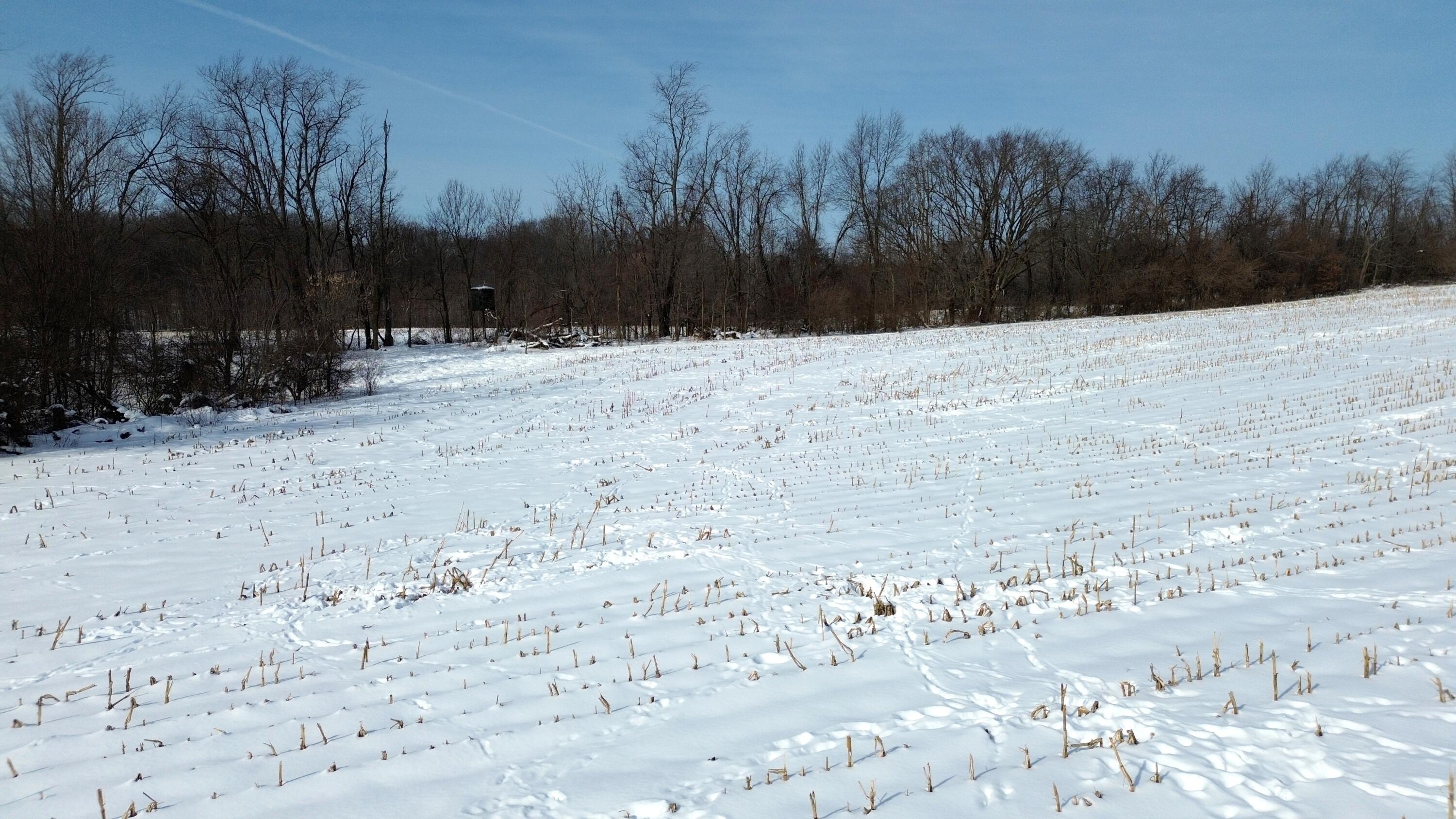 Vl Bond Road Decatur, MI 49045 - Photo 8 of 32 DJI_0008