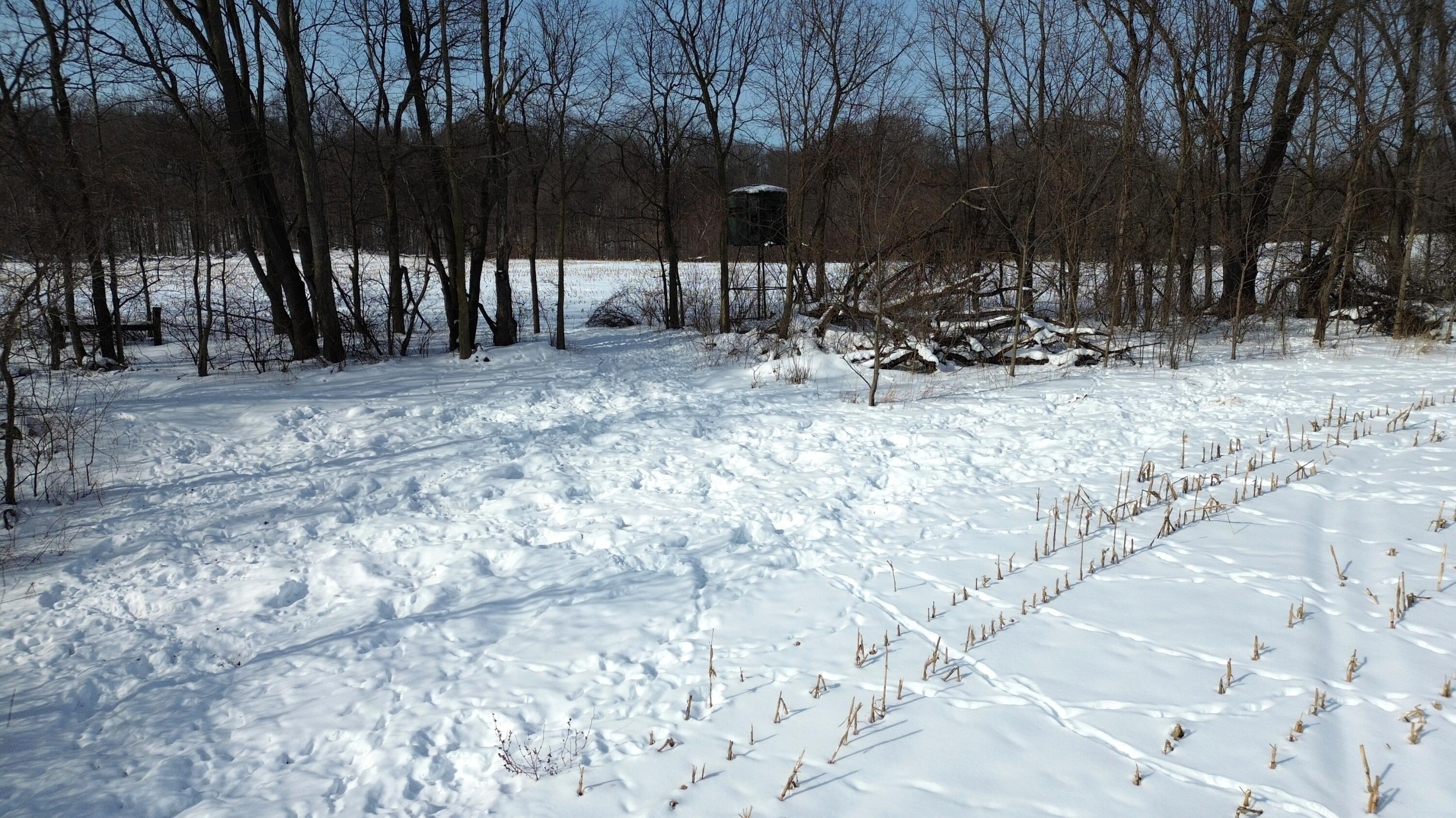 Vl Bond Road Decatur, MI 49045 - Photo 9 of 32 DJI_0009