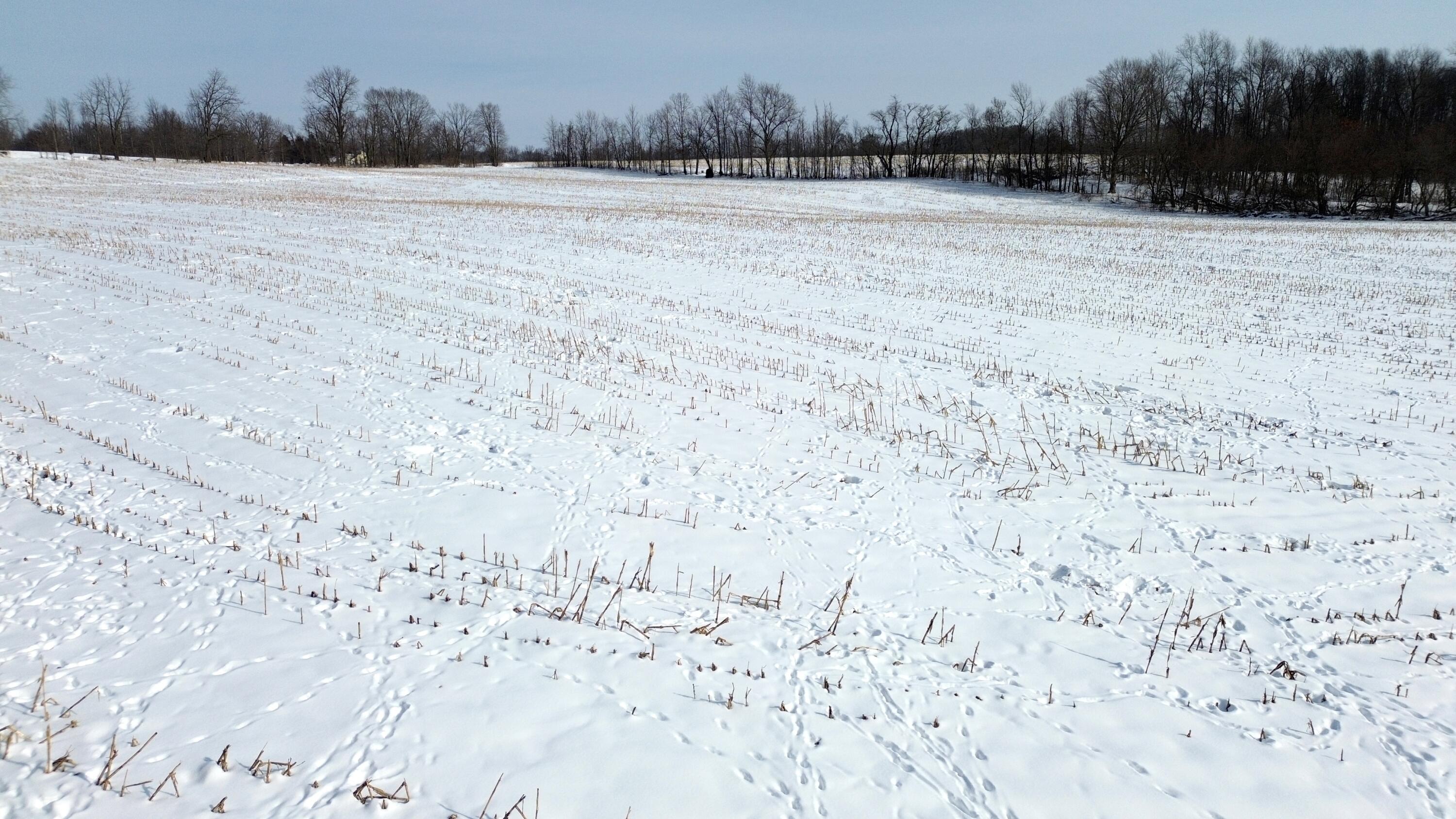 Vl Bond Road Decatur, MI 49045 - Photo 10 of 32 DJI_0010