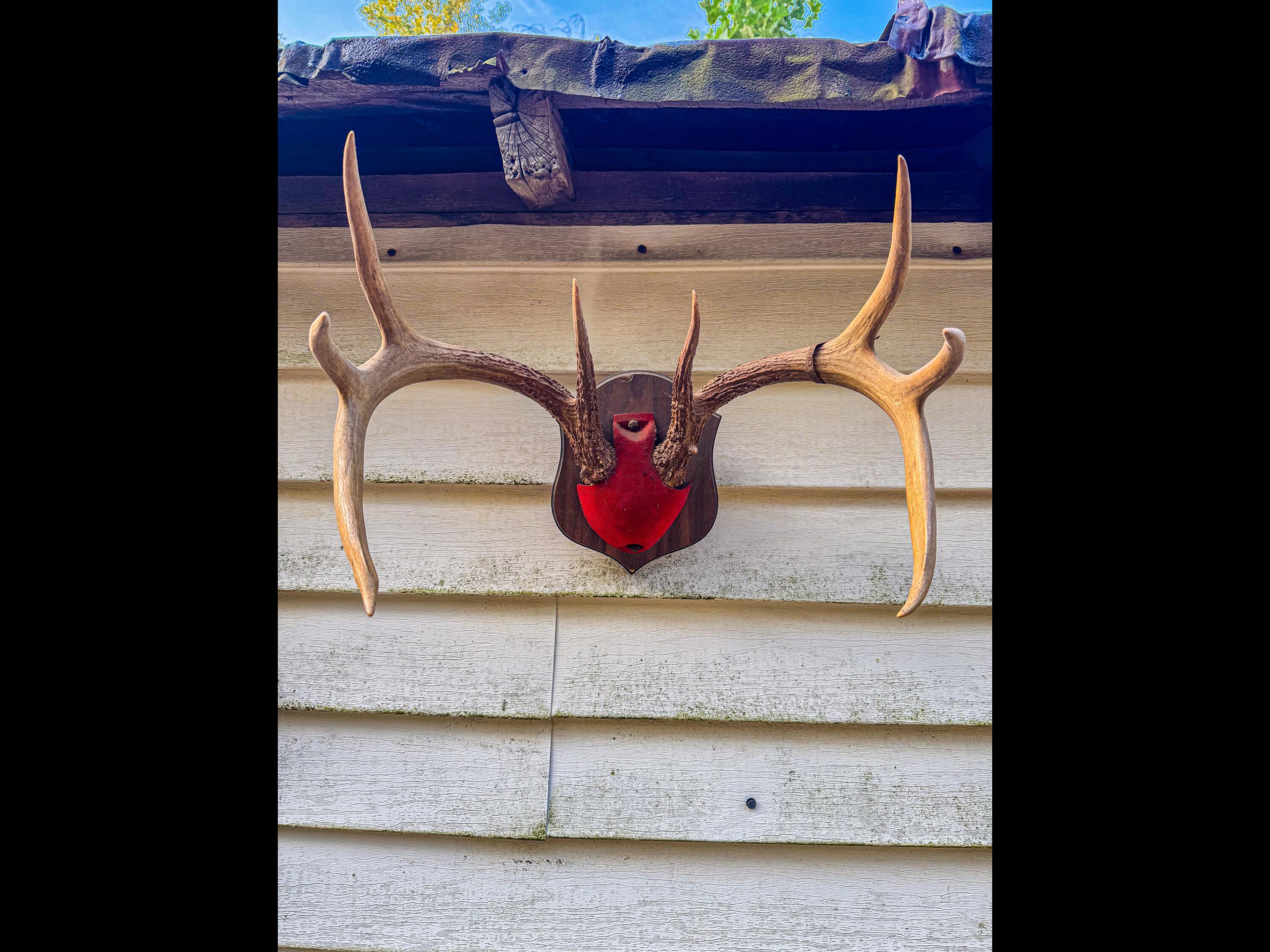 3783 Carrs Run Road Beaver, OH 45613 - Photo 19 of 50 18