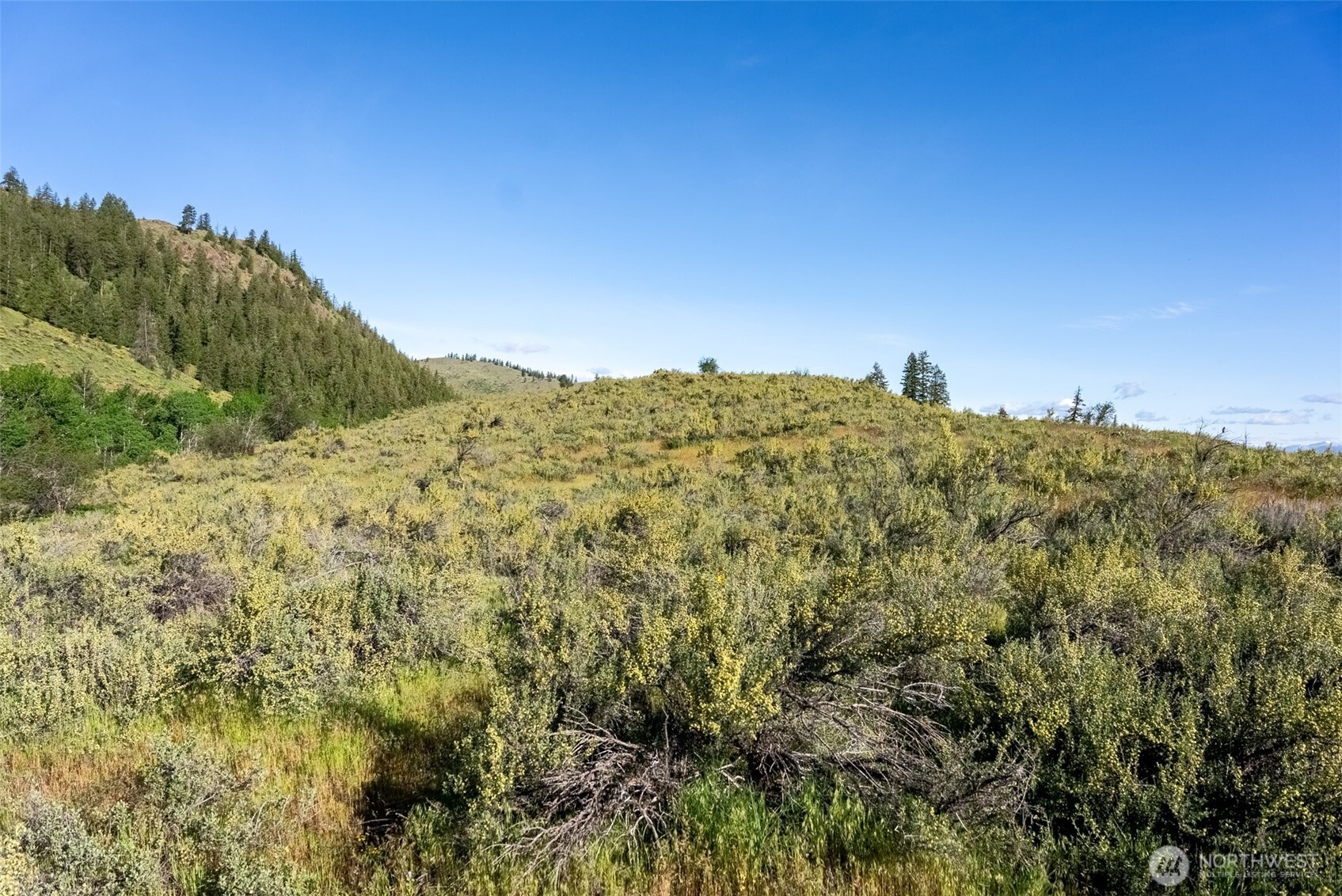 -tbd Alder Road Twisp, WA 98856 - Photo 36 of 39