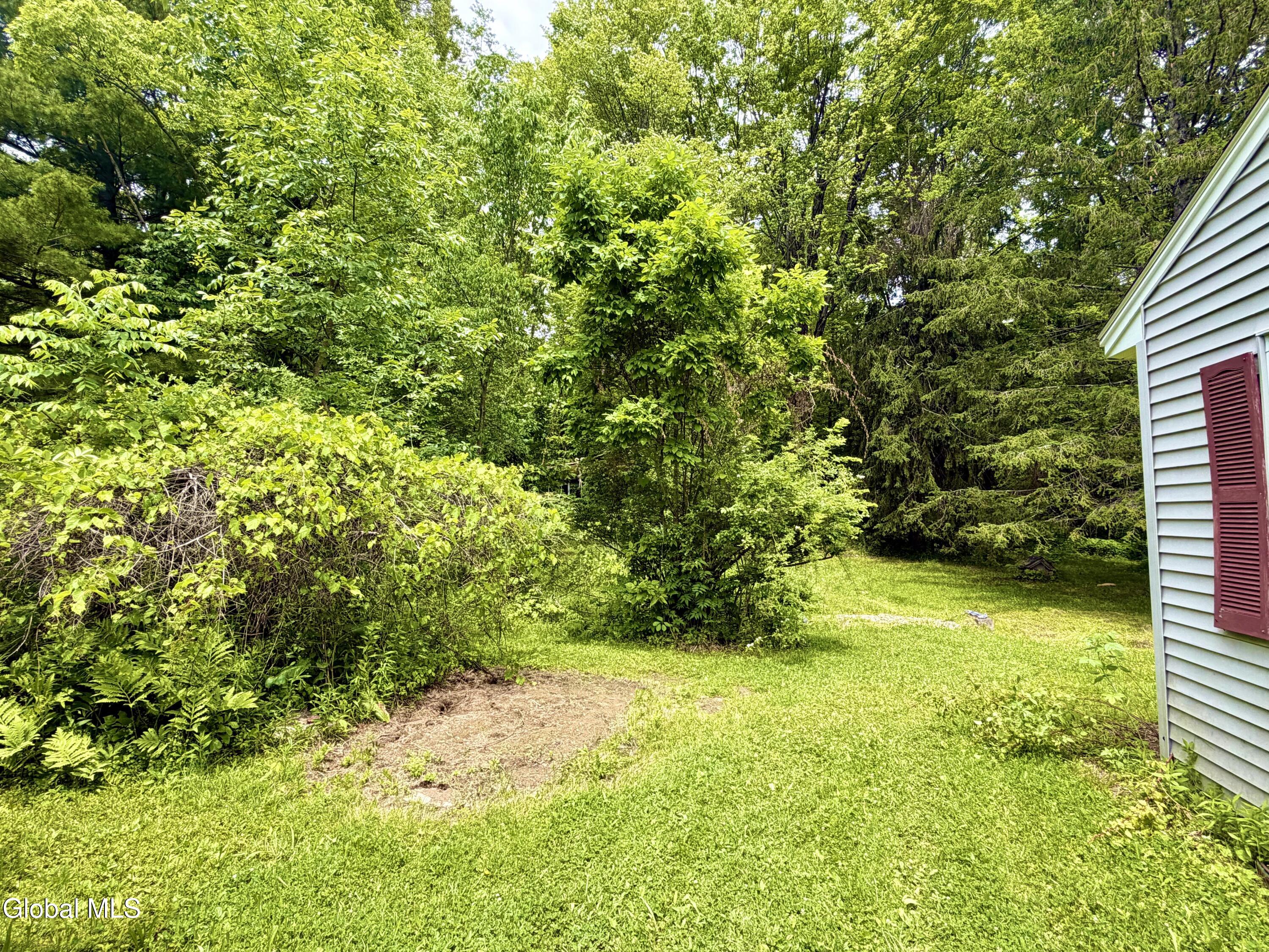 166 Potter Road Glenville, NY 12010 - Photo 36 of 38 Potter Back 3