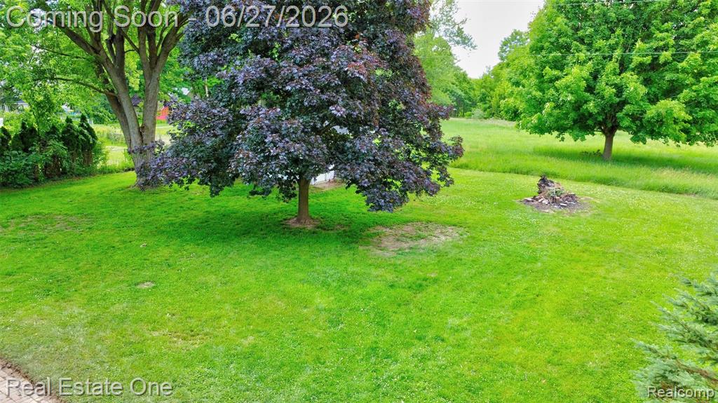 10379 Hegel Road Goodrich, MI 48438 - Photo 48 of 70