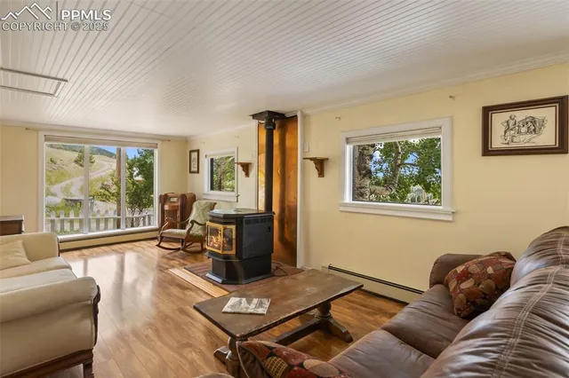 $250,000 | 301 Granite Avenue, Victor, CO 80860