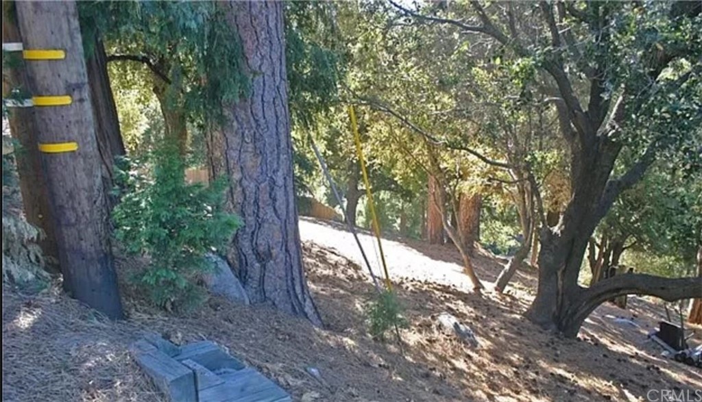 0 Pine Ridge Road Crestline, CA 92325 - Photo 1 of 1 a view of outdoor space and garden