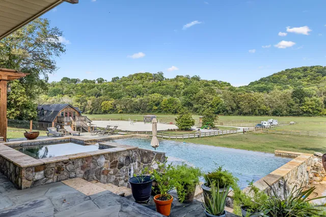 a view of a swimming pool with a patio and a garden