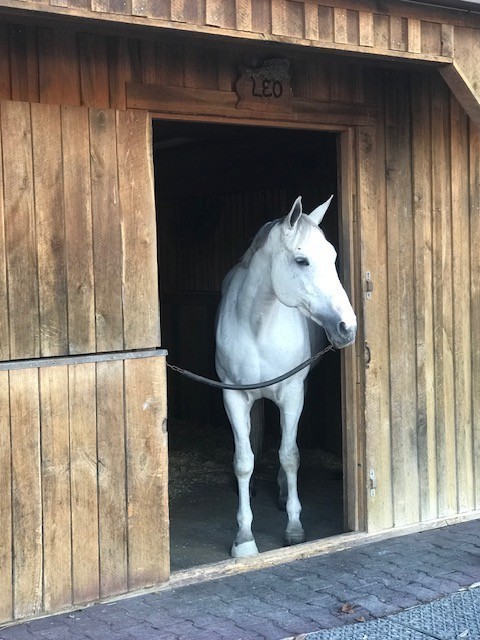 2864 Sawyer Bend Road Nashville, TN 37221 - Photo 79 of 94