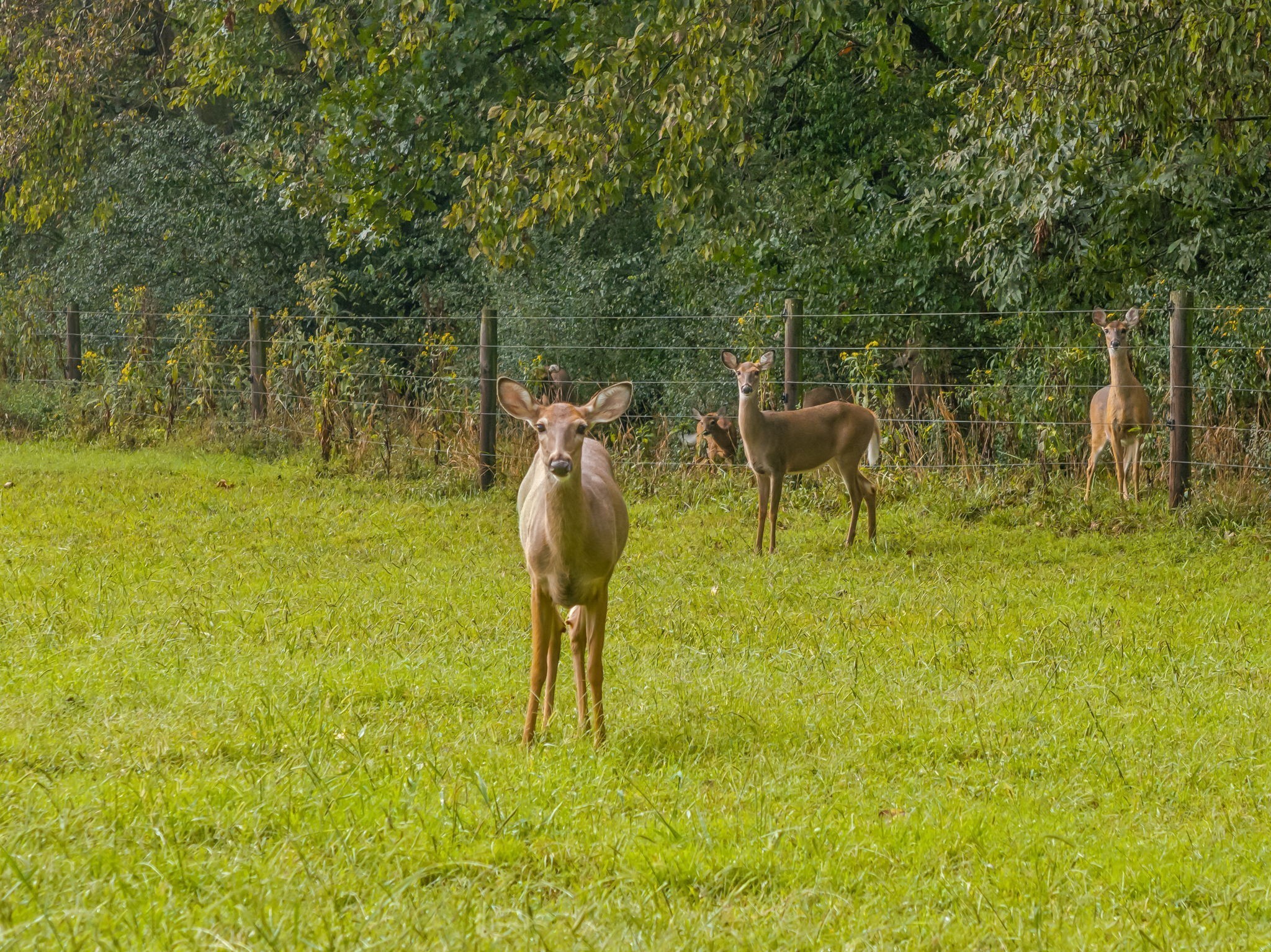 2864 Sawyer Bend Road Nashville, TN 37221 - Photo 89 of 94