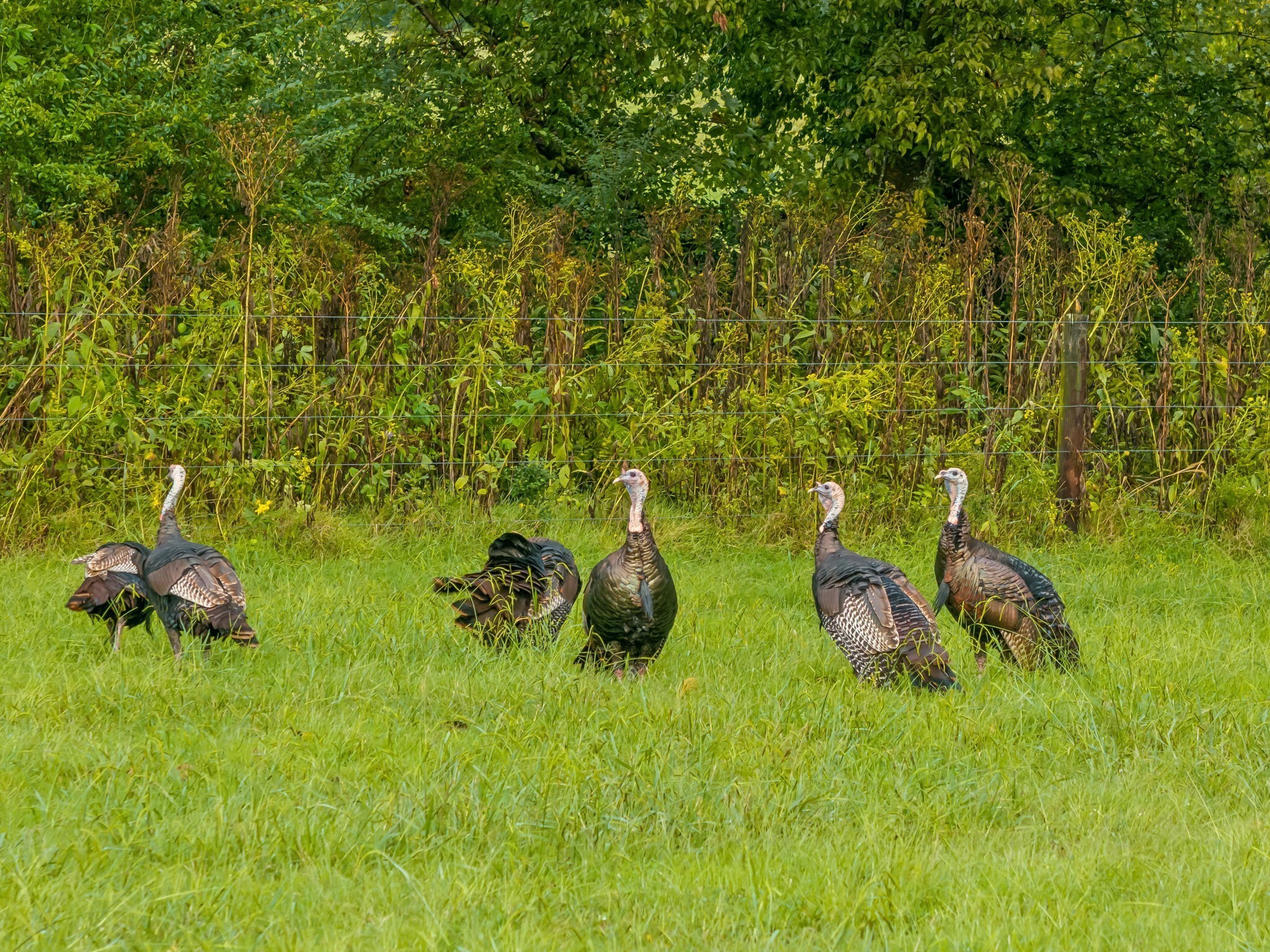 2864 Sawyer Bend Road Nashville, TN 37221 - Photo 90 of 94