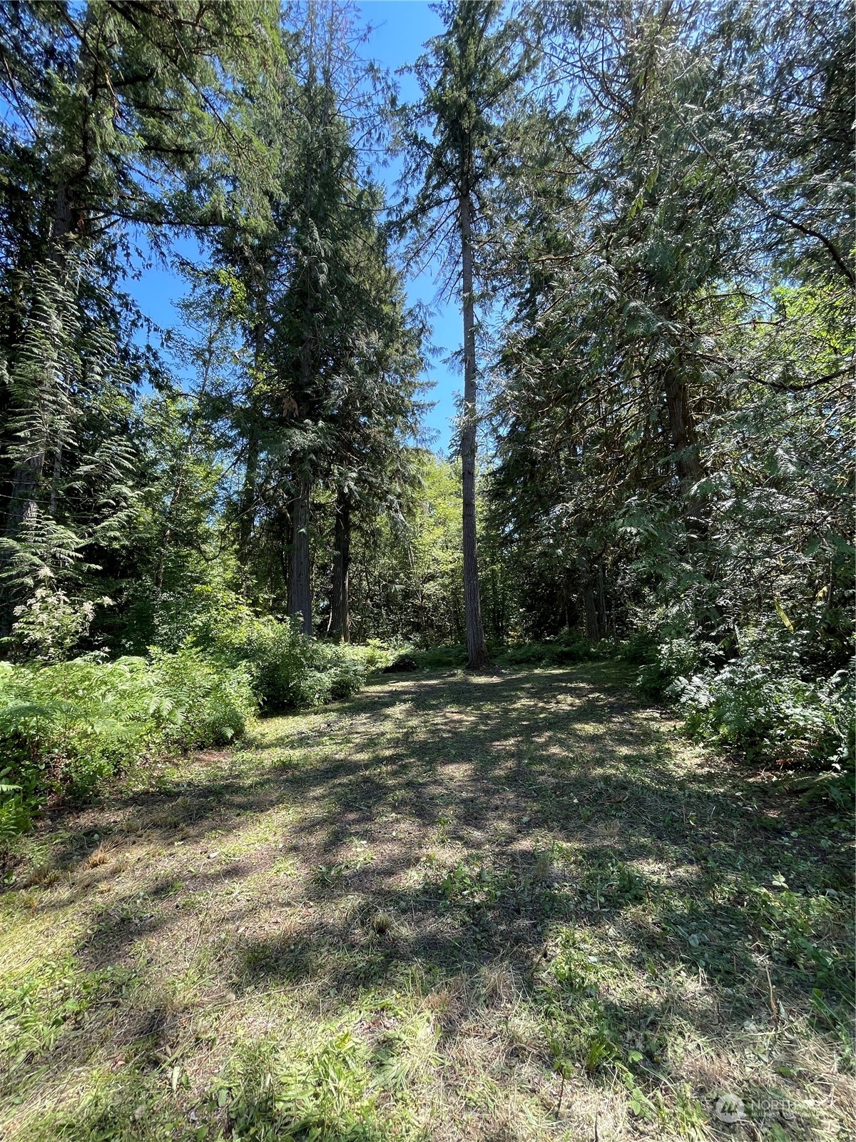 6250 Southeast Lynch Road Shelton, WA 98584 - Photo 4 of 15 Gallery Image 4