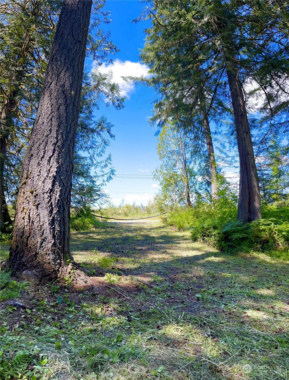 6250 Southeast Lynch Road Shelton, WA 98584 - Photo 5 of 15 Gallery Image 5
