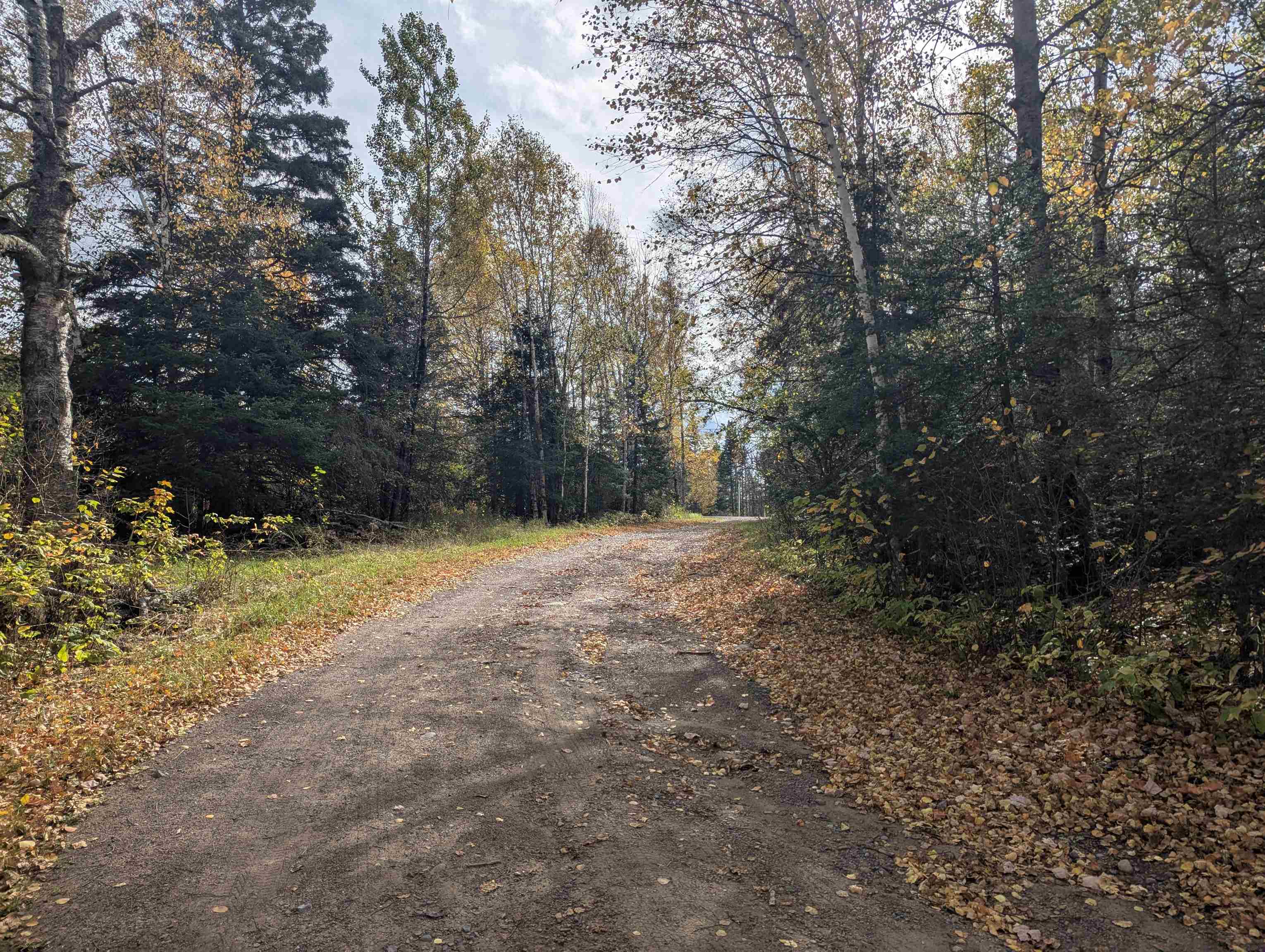 9442 State Highway 1 Isabella, MN 55607 - Photo 26 of 27