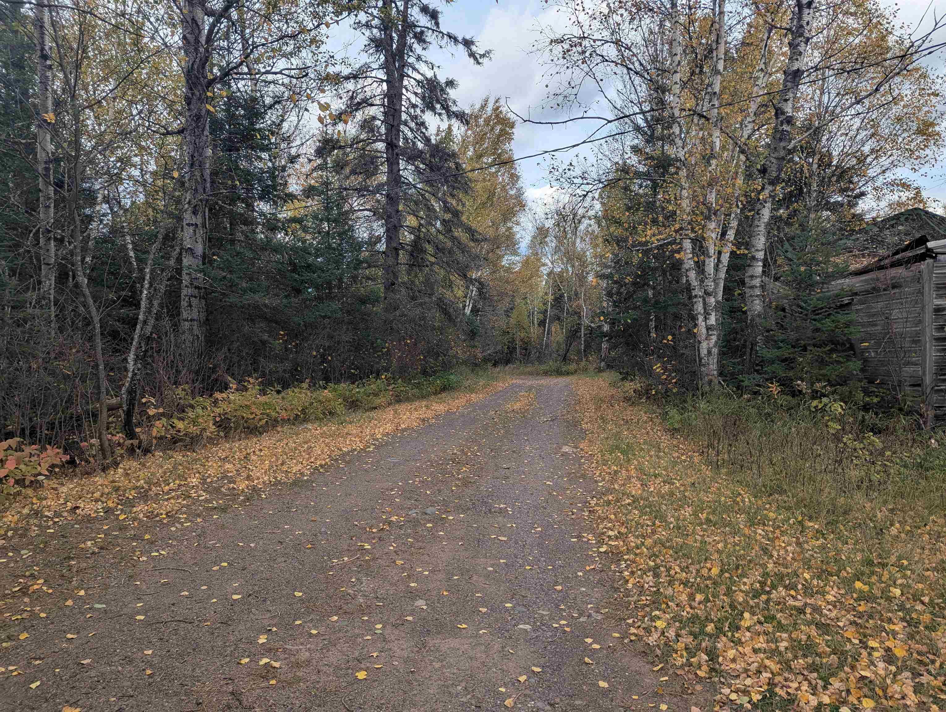 9442 State Highway 1 Isabella, MN 55607 - Photo 27 of 27