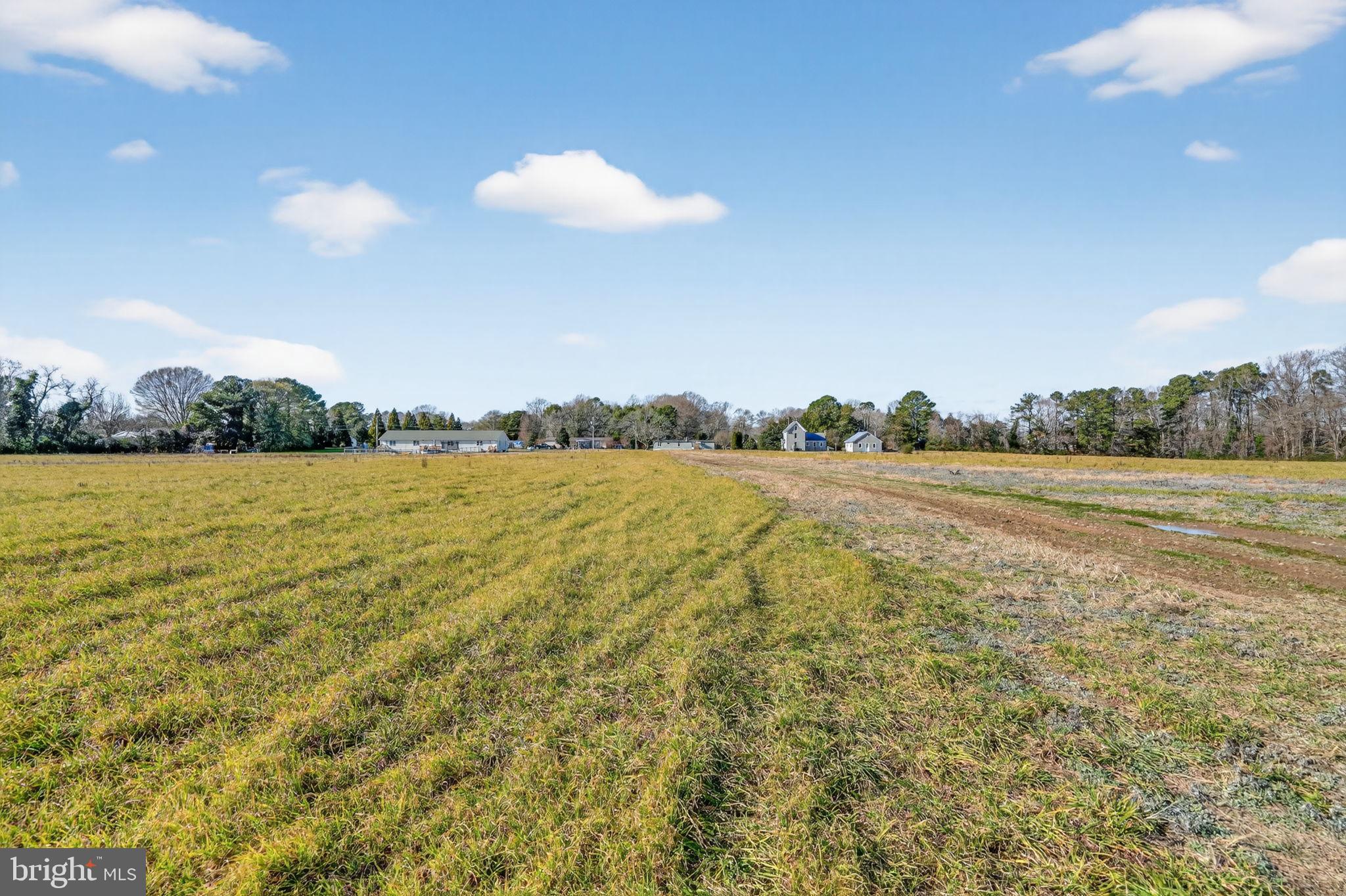 8005 Hickman Farm Road Wallops Island, VA 23337 - Photo 48 of 51 Gallery Image 48