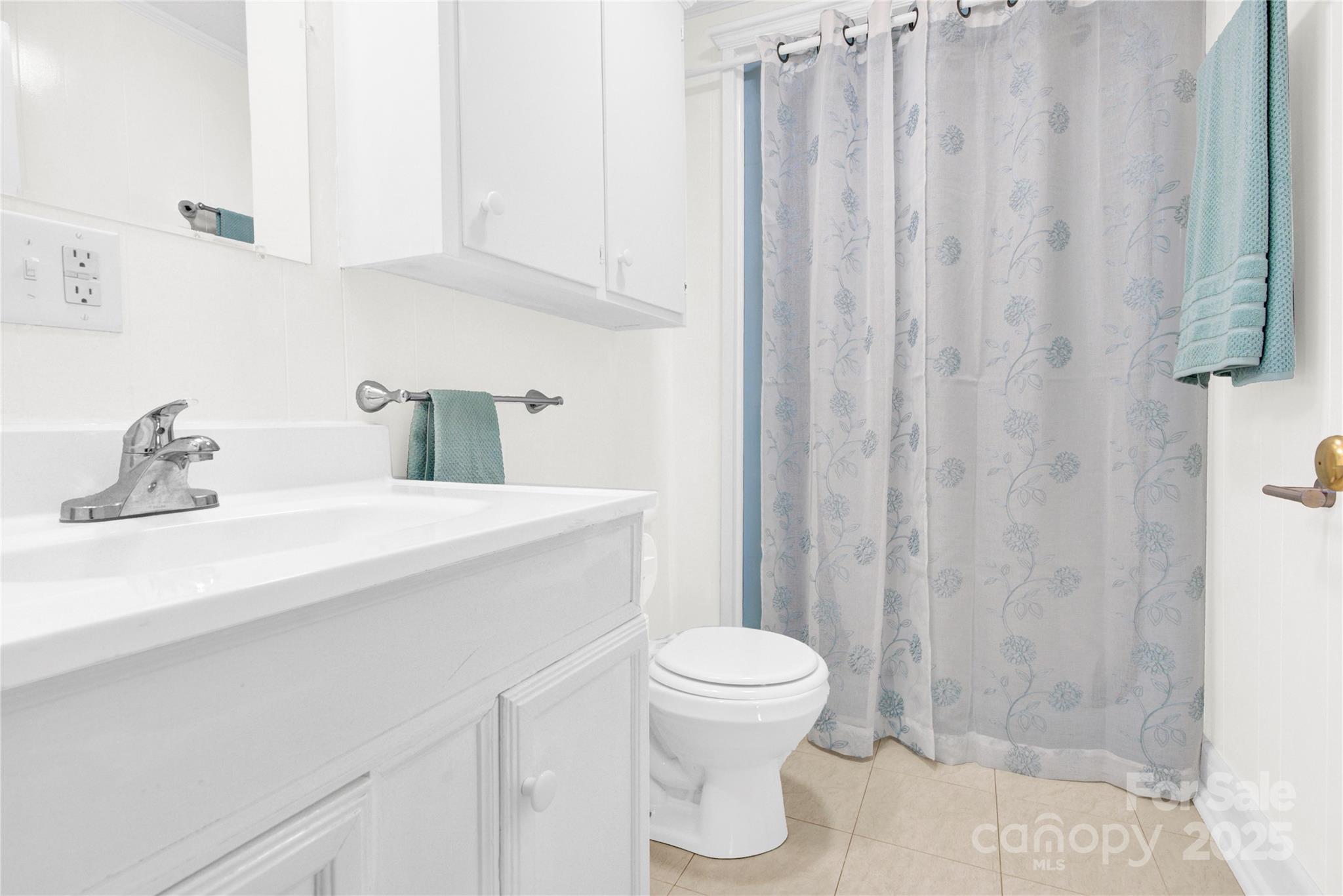 221 Abner Road Stony Point, NC 28678 - Photo 13 of 40 a bathroom with a sink a toilet and shower curtain