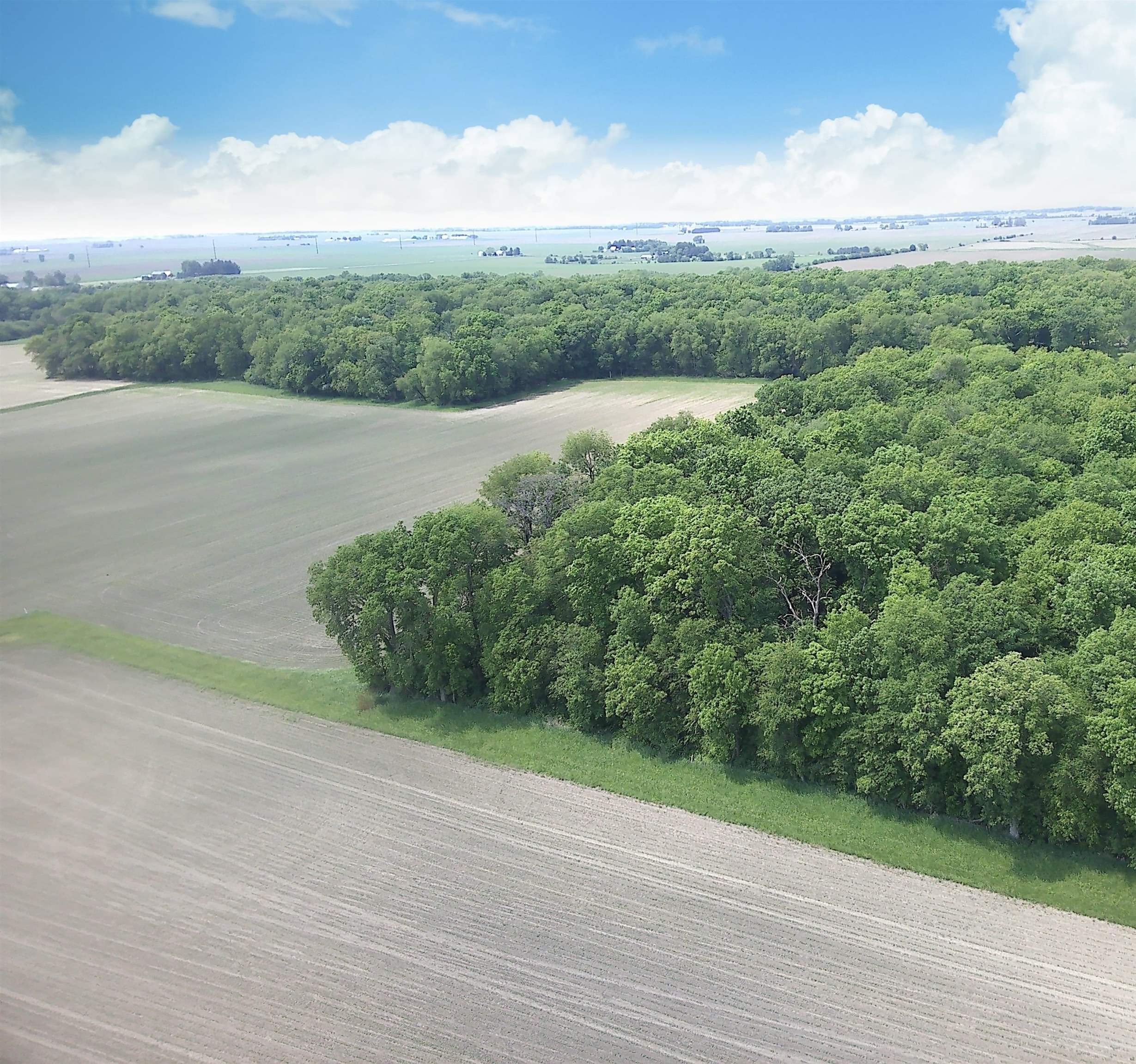 4839 North Wendorf Road Monroe Center, IL 61052 - Photo 11 of 22 Gallery Image 11