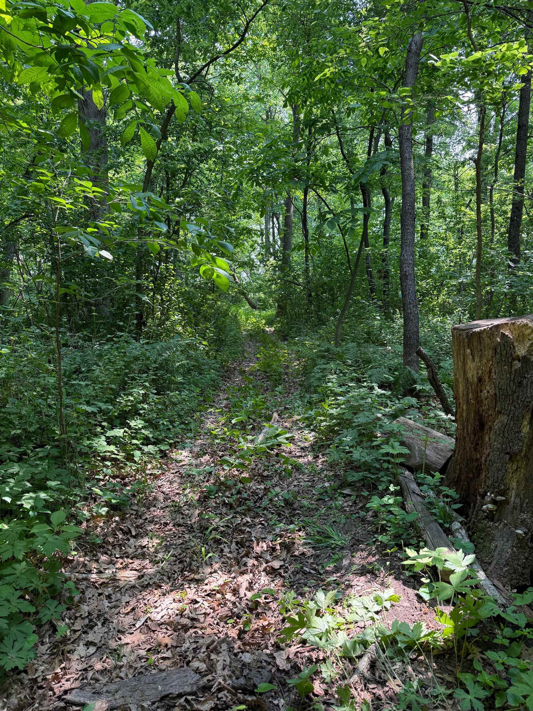 4839 North Wendorf Road Monroe Center, IL 61052 - Photo 12 of 22 Gallery Image 12