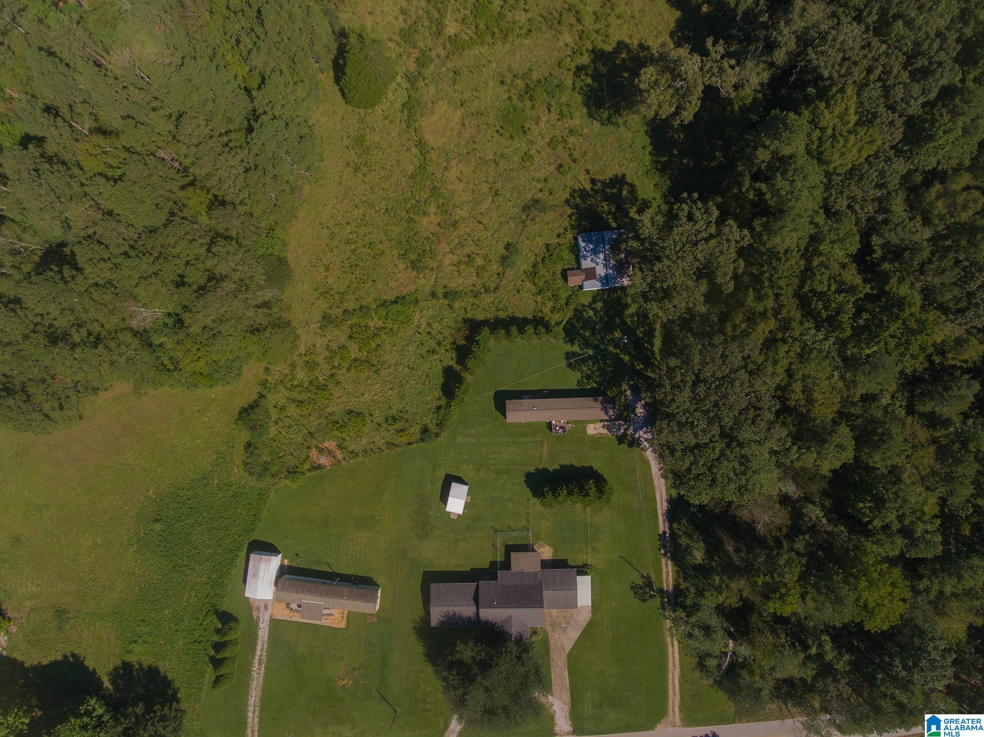 1165 Halls Chapel Road Alexandria, AL 36250 - Photo 6 of 38