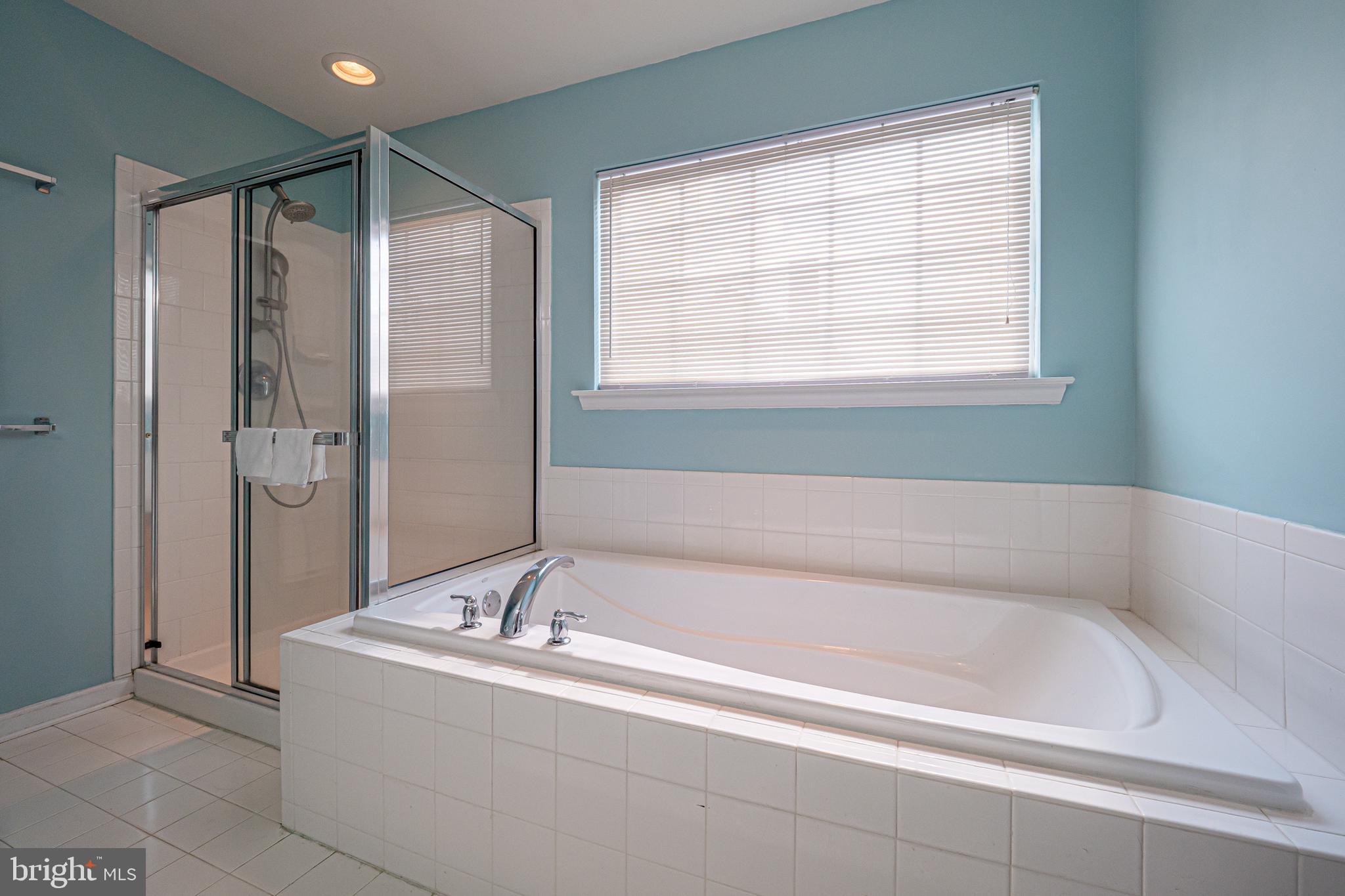 607 Churchill Road Chester Springs, PA 19425 - Photo 25 of 42 Soaking tub and walk in shower
