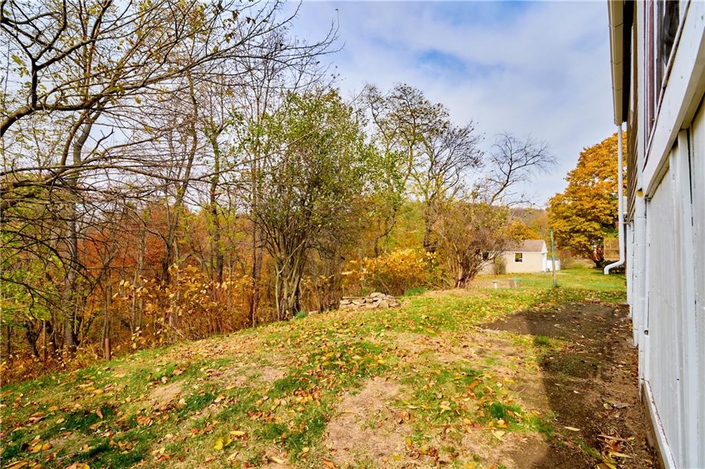 825 Walnut Street Rochester, PA 15074 - Photo 22 of 24 a view of back yard of the house