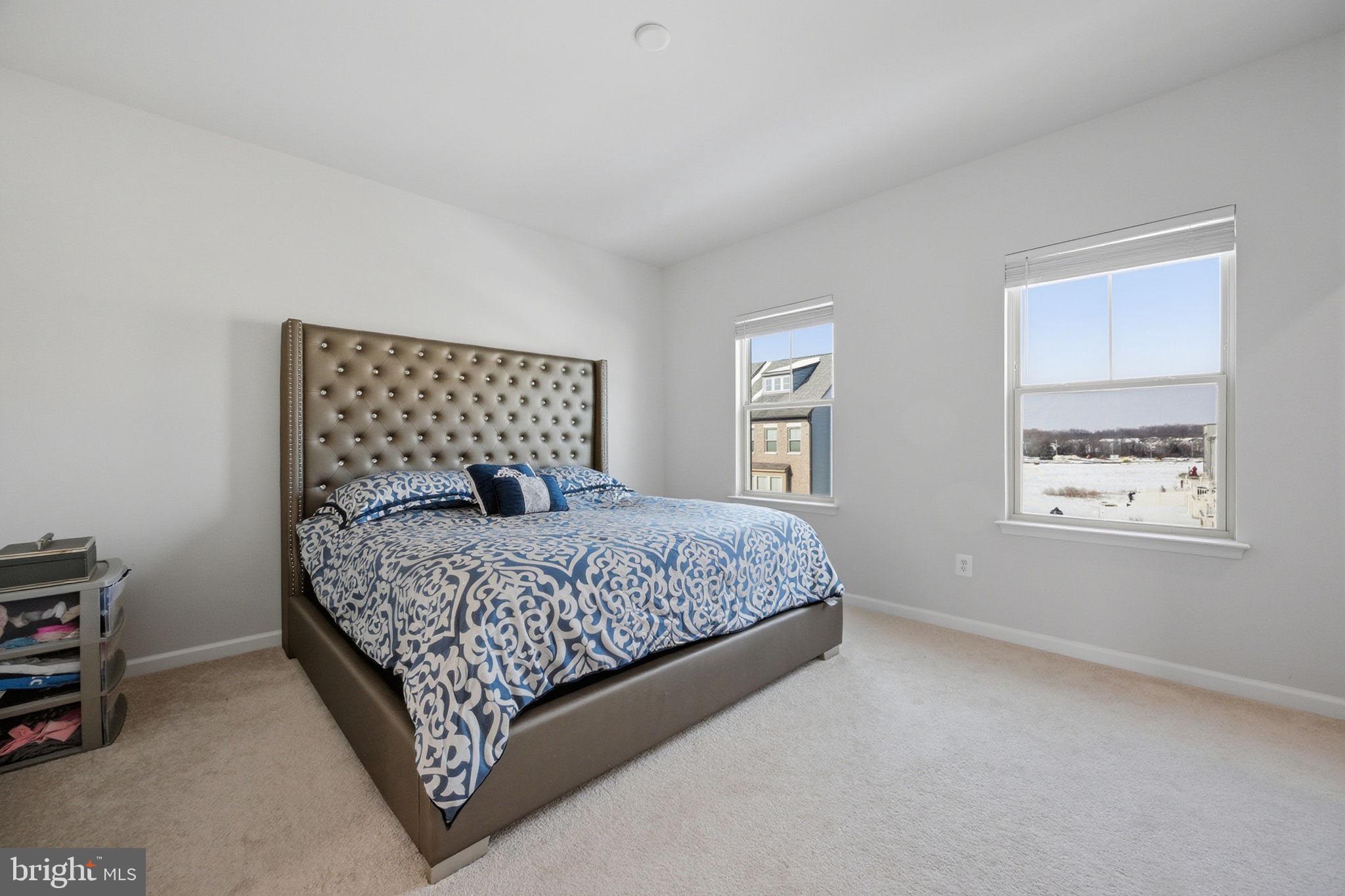 16834 St Ridgely Boulevard Bowie, MD 20716 - Photo 18 of 35 Primary Bedroom