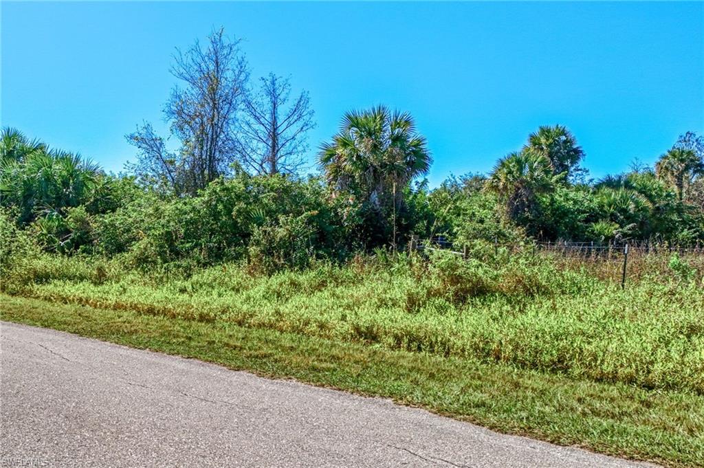 Wilson Boulevard North Naples, FL 34120 - Photo 2 of 8 a view of a garden