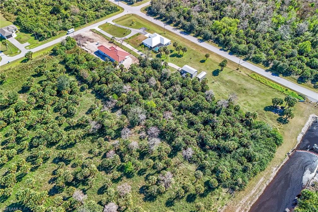 Wilson Boulevard North Naples, FL 34120 - Photo 7 of 8 a view of a yard with a small yard