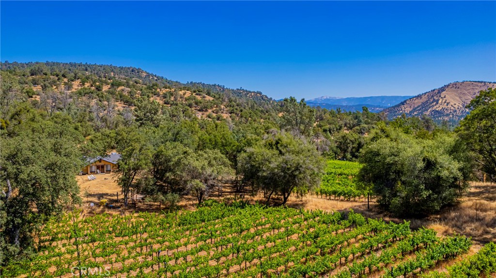49610 House Ranch Road O'Neals, CA 93645 - Photo 11 of 44 Vineyard to cottage