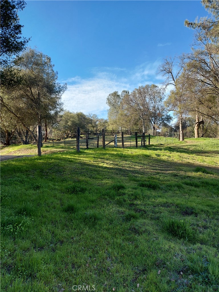 49610 House Ranch Road O'Neals, CA 93645 - Photo 22 of 44 Pasture