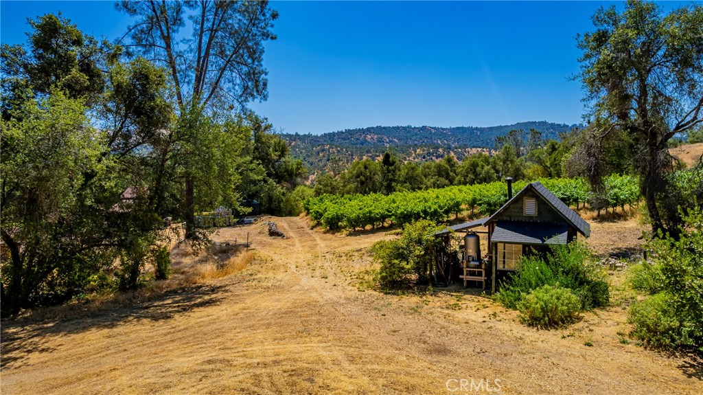 49610 House Ranch Road O'Neals, CA 93645 - Photo 32 of 44 vineyard and pump house