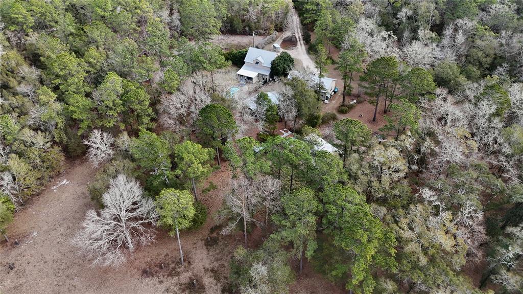 210 Tucker Springs Road Sopchoppy, FL 32358 - Photo 48 of 93