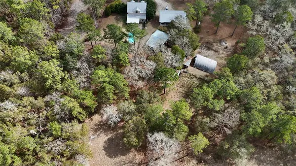a view of a dry yard with lots of bushes